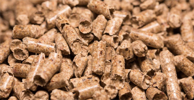 gros plan granulés du limousin GDM Pellets